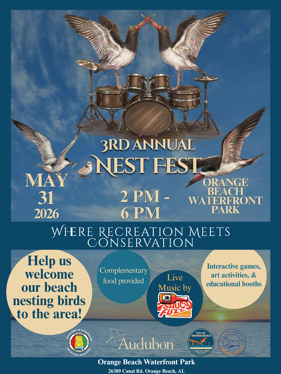 Nest Fest Returns To Orange Beach Waterfront Park