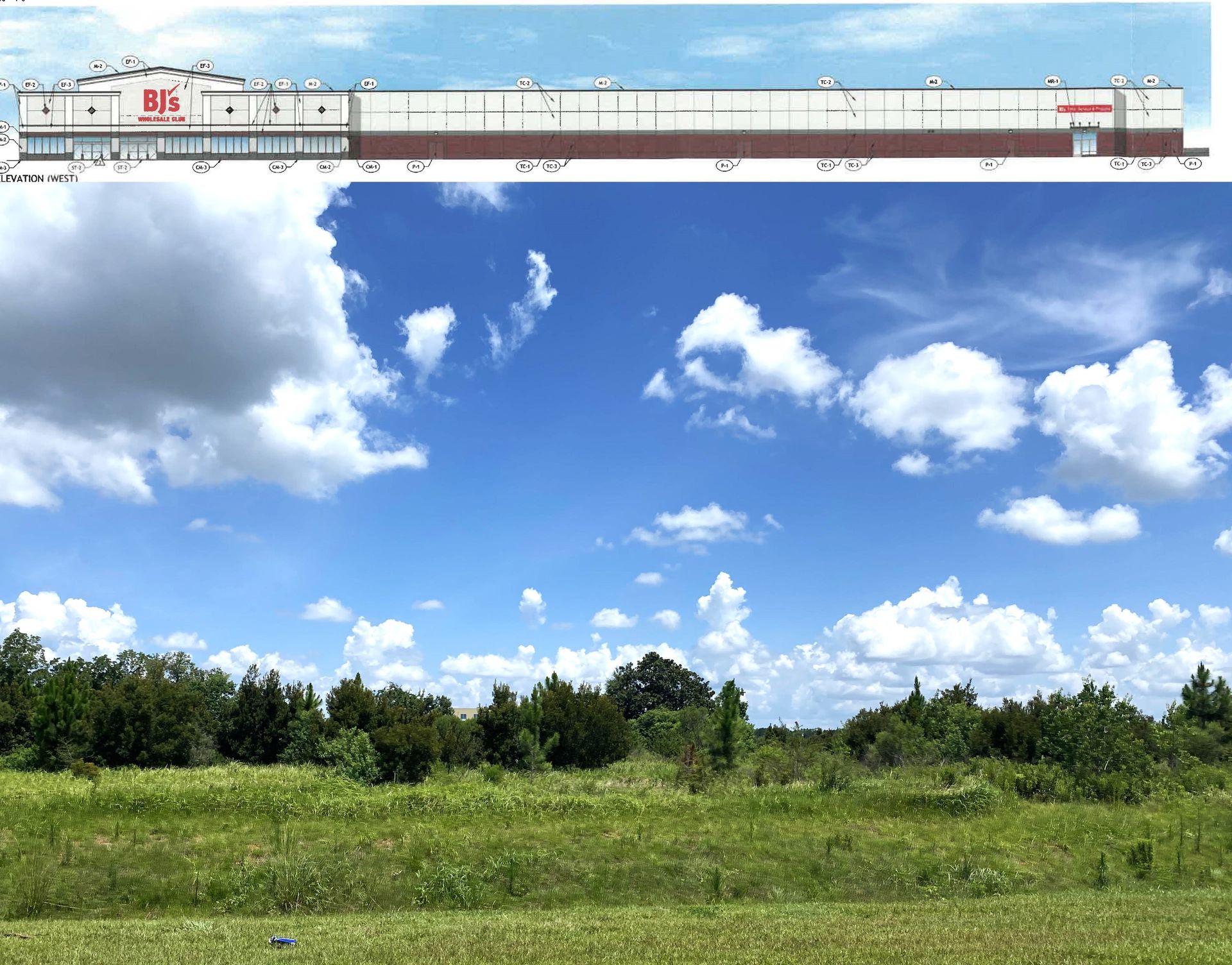 BJ’s Wholesale Club Expands with Foley Store Plans