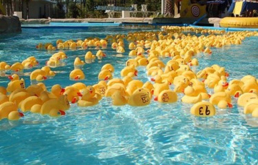 Orange Beach Lions Club Hosts Rubber Duck Race for Charity