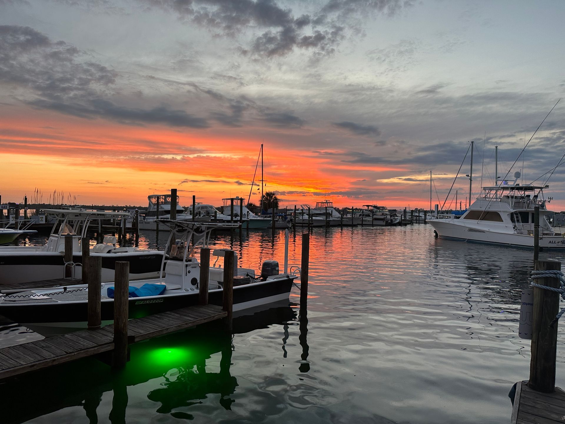 A Week Full of Fun and Frolic on the Gulf Coast