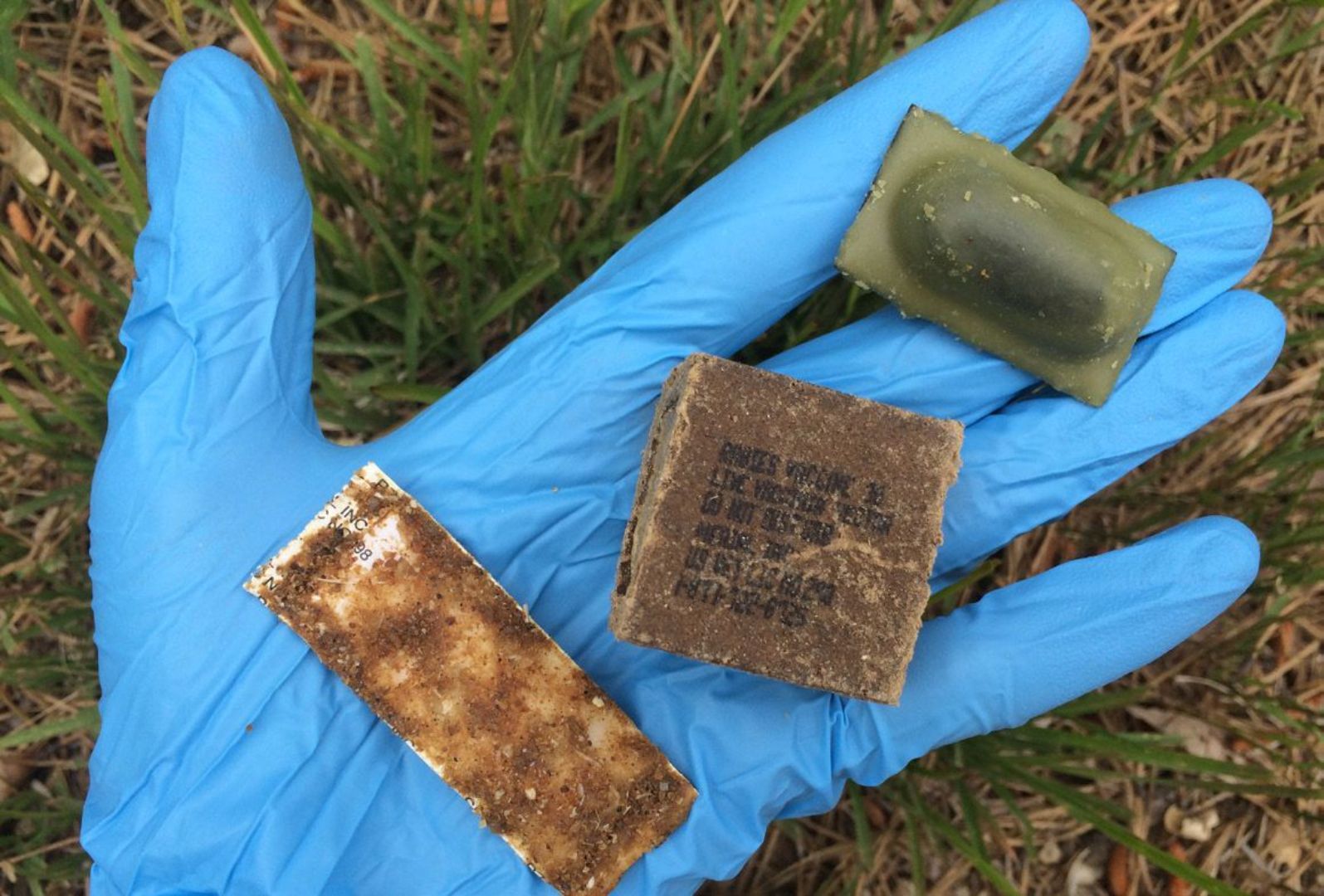 USDA to Drop Oral Rabies Vaccine Baits in Baldwin County and Beyond