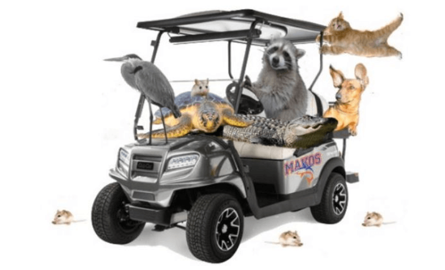 Orange Beach Golf Cart Graphic