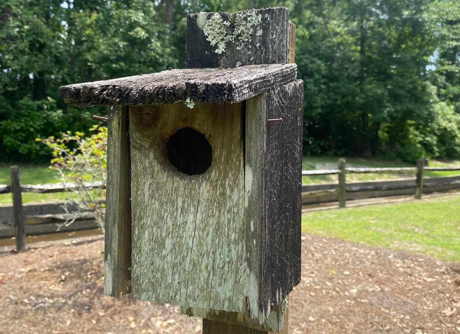 Birdhouse Design Contest Encourages Creativity in New Project
