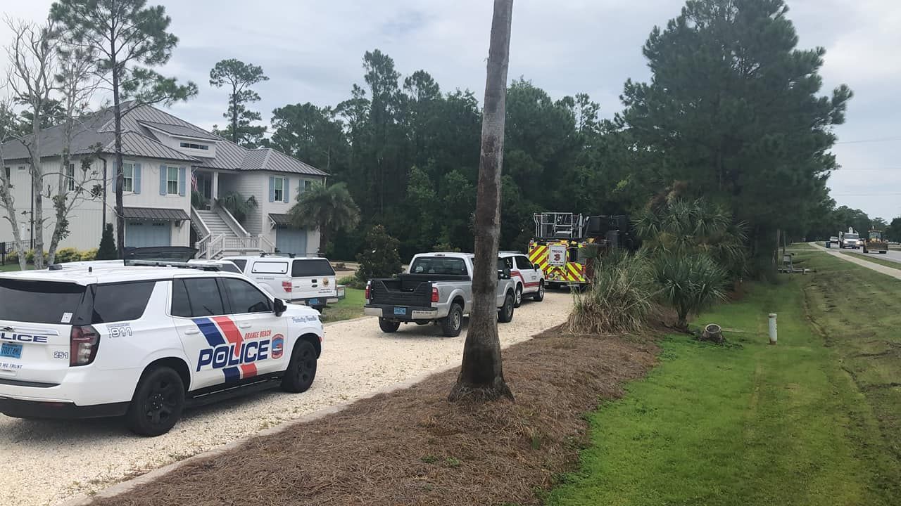 Orange Beach Wild Live Rescues Osprey from Pine Tree