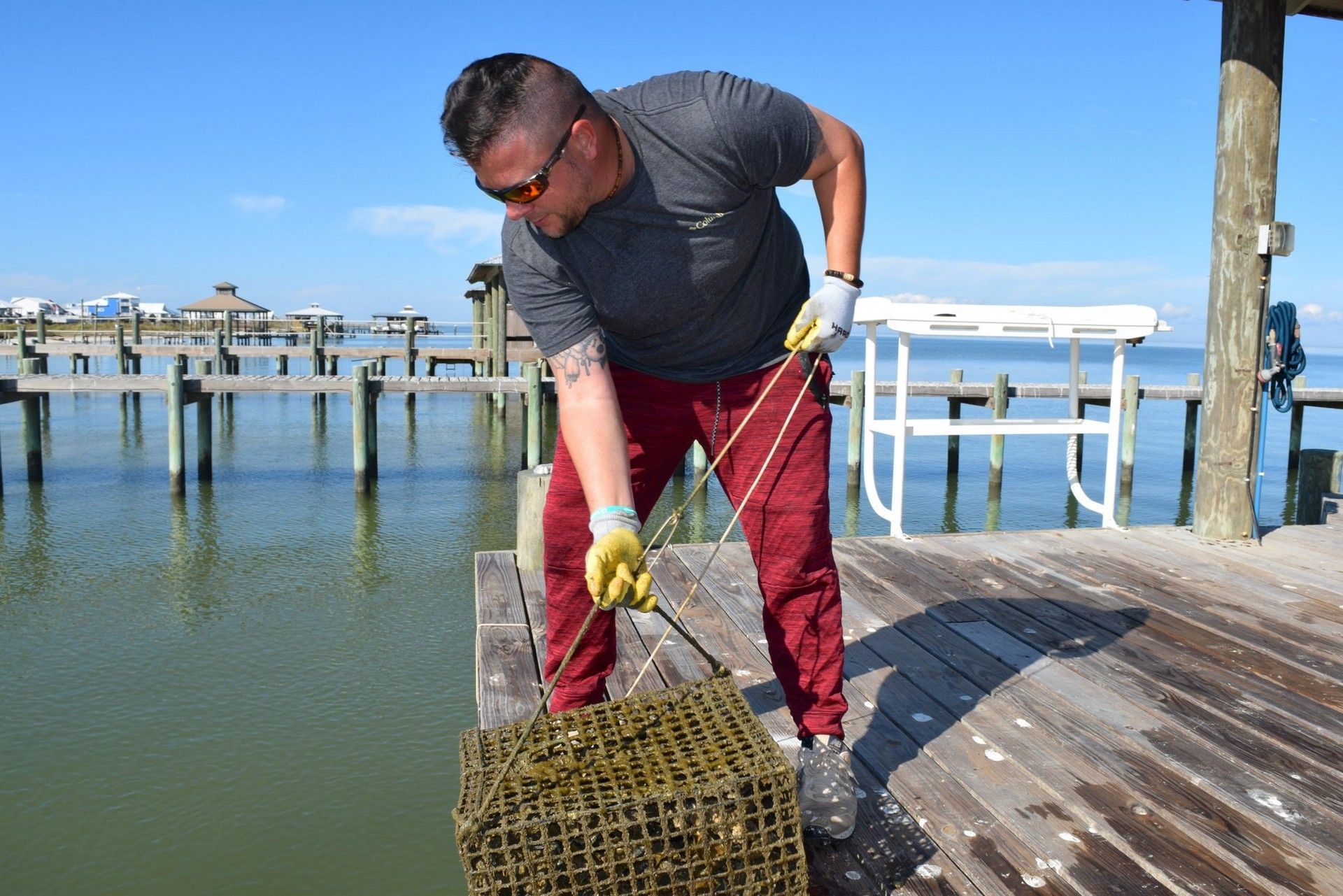 Oyster Keepers Program Introduces 61,000 Oysters Back into Mobile Bay