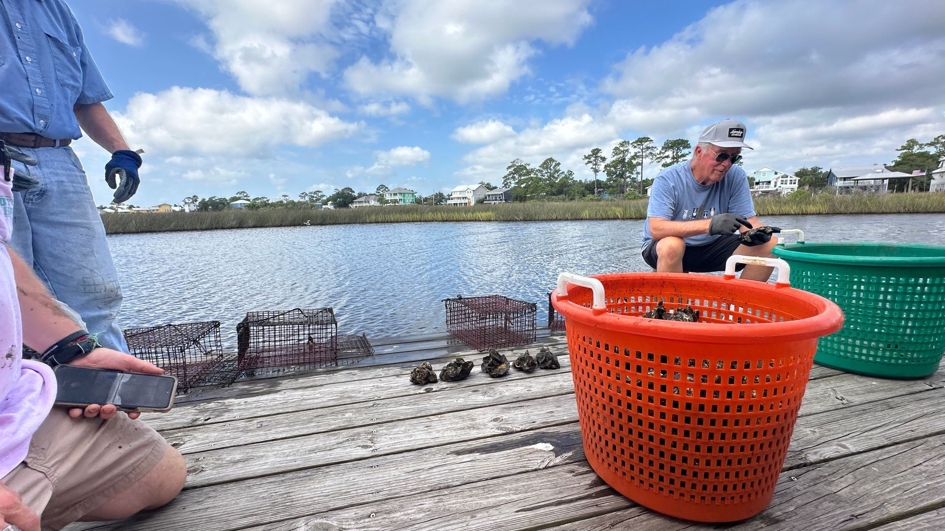 Local Oyster Harvesting Helps Coastal Environment
