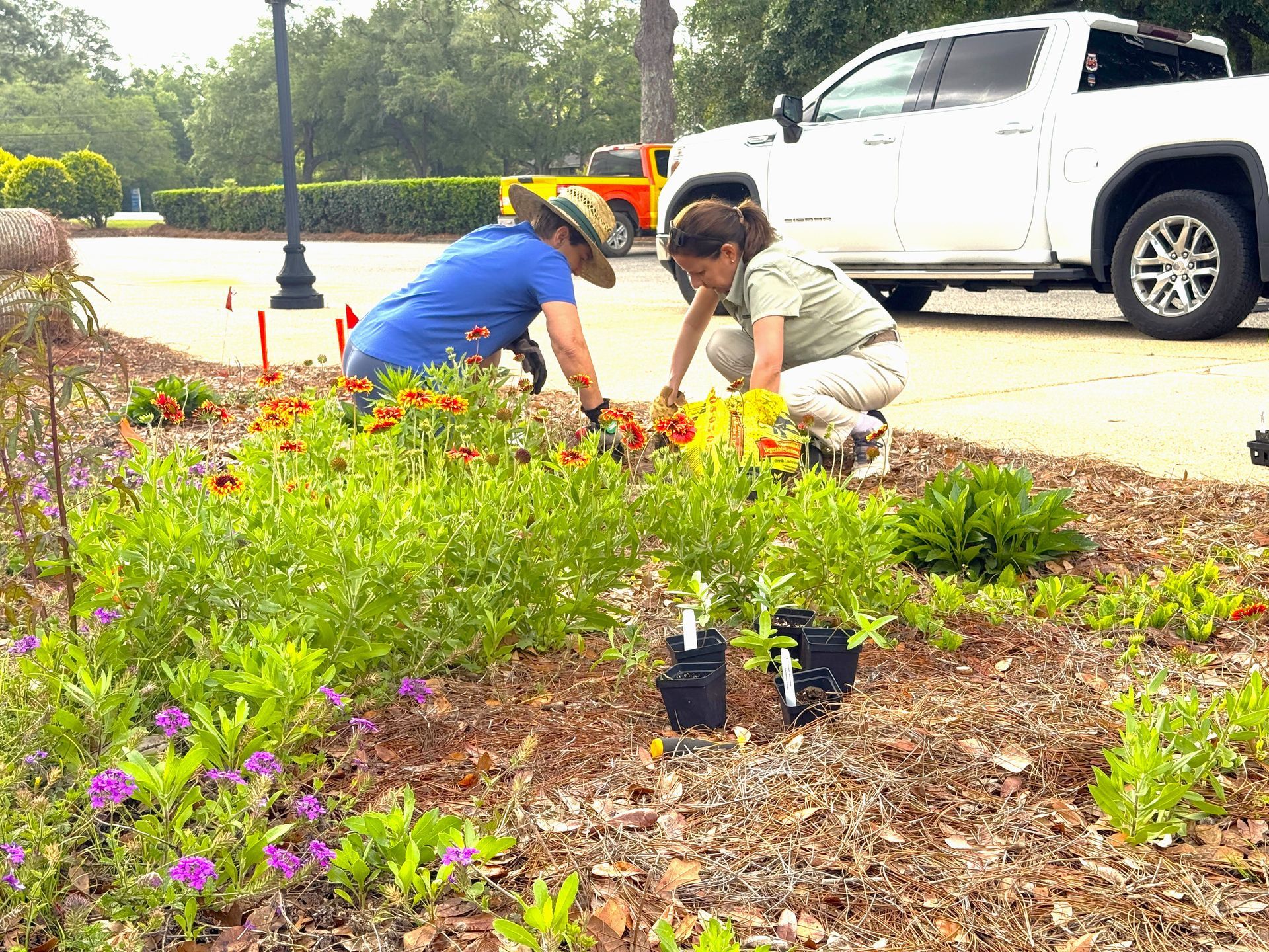 Monarch Butterflies Return To Gulf Coast With New Conservation Push