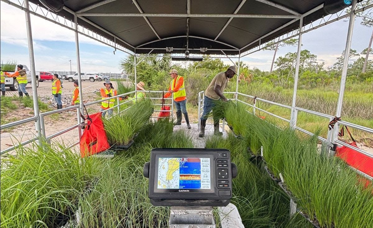 Volunteers Needed to Restore Walker Island and Protect Wildlife