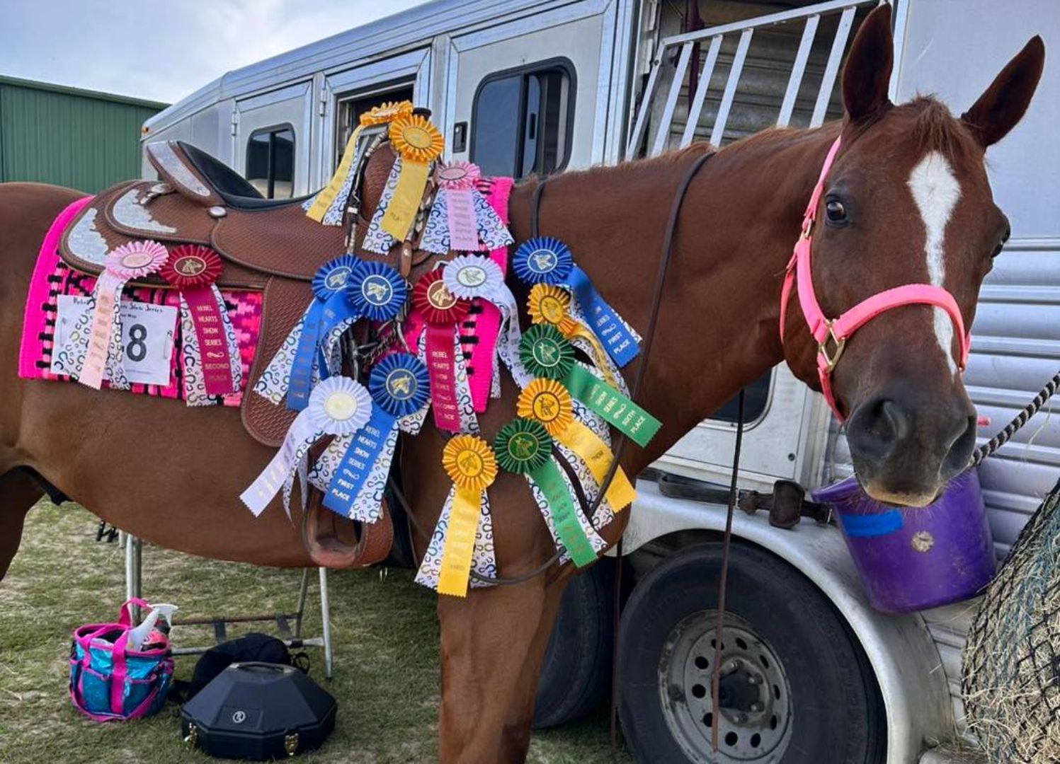 Shorty’s Safe Haven Rodeo Rides into Foley to Aid Local Horse Sanctuary