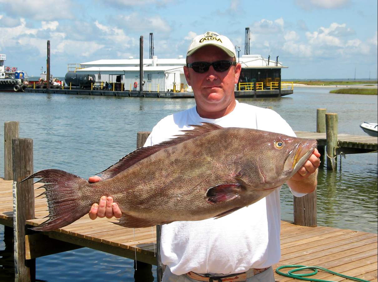 Dauphin Island Deep Sea Fishing Rodeo - Scamp by Outdoor Alabama