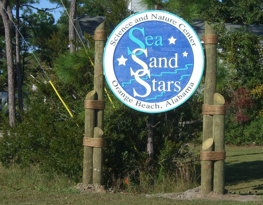 Sea, Sand & Stars in Orange Beach
