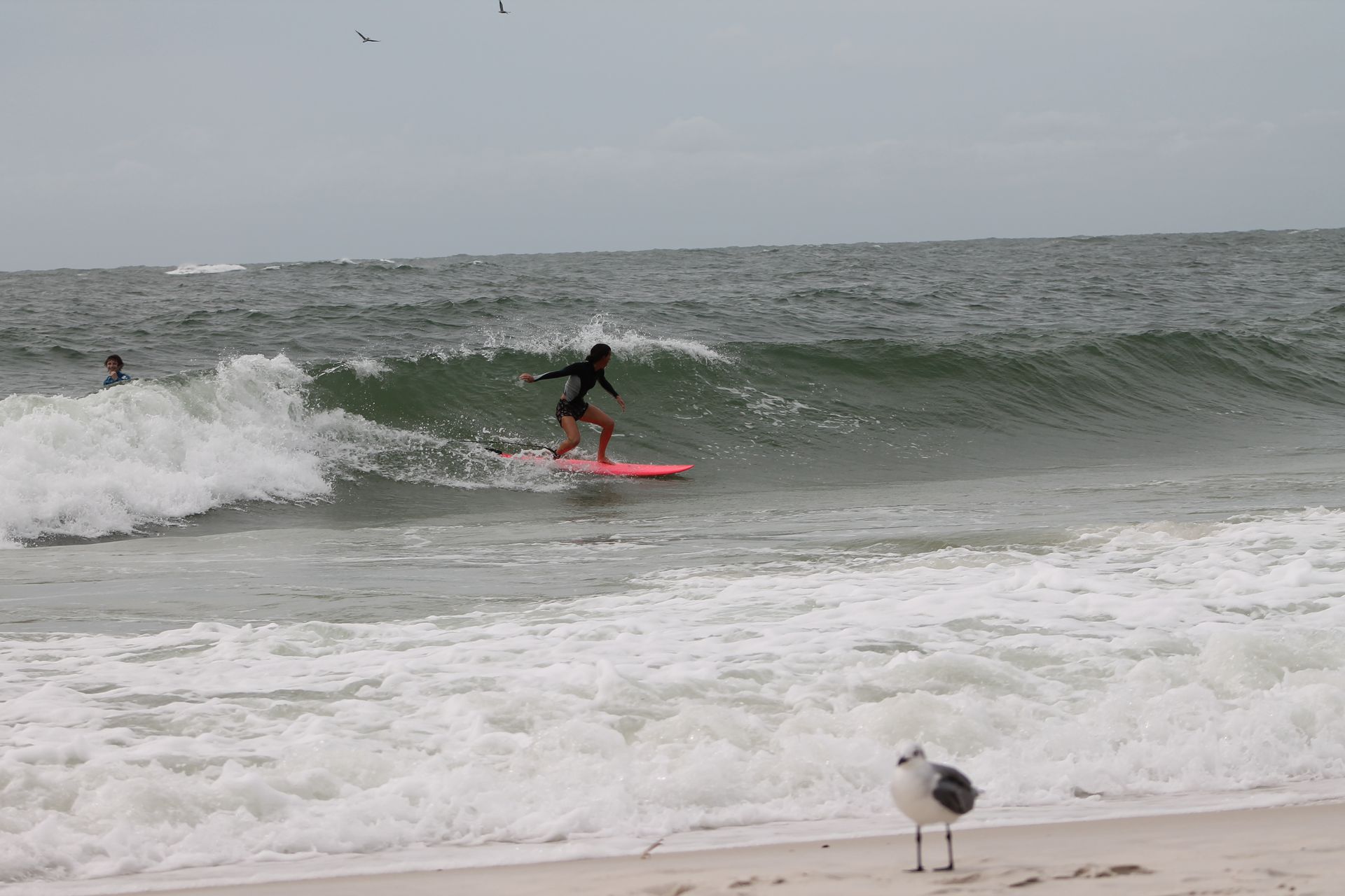 Tambo's Surf Shop in Gulf Shores - Photo by Kat Hoodless