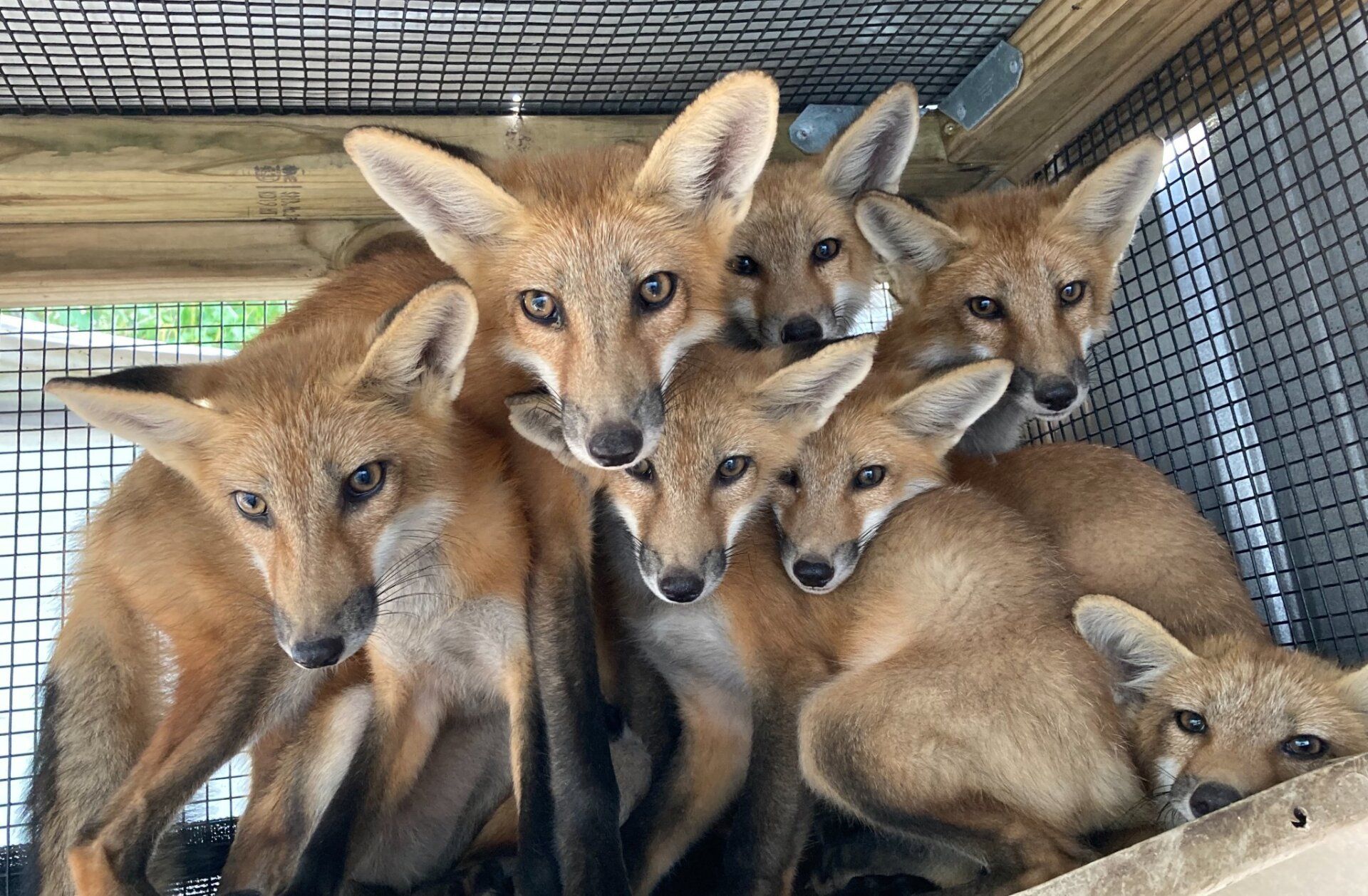 Orange Beach, Ala., is seeking more Restore Act funds for the interior of its new wildlife center.