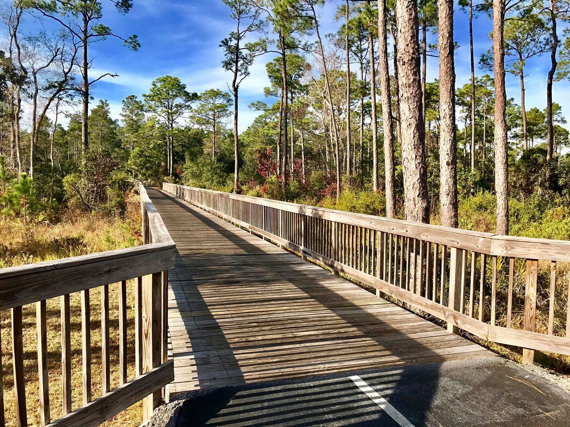 The Backcountry Trail in Gulf Shores and Orange Beach was ranked number one in an internet contest.