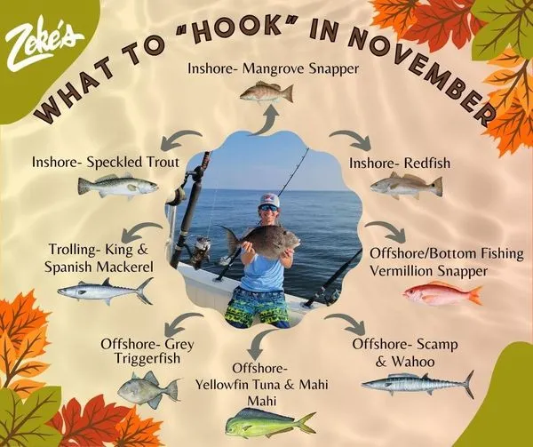 November fishing