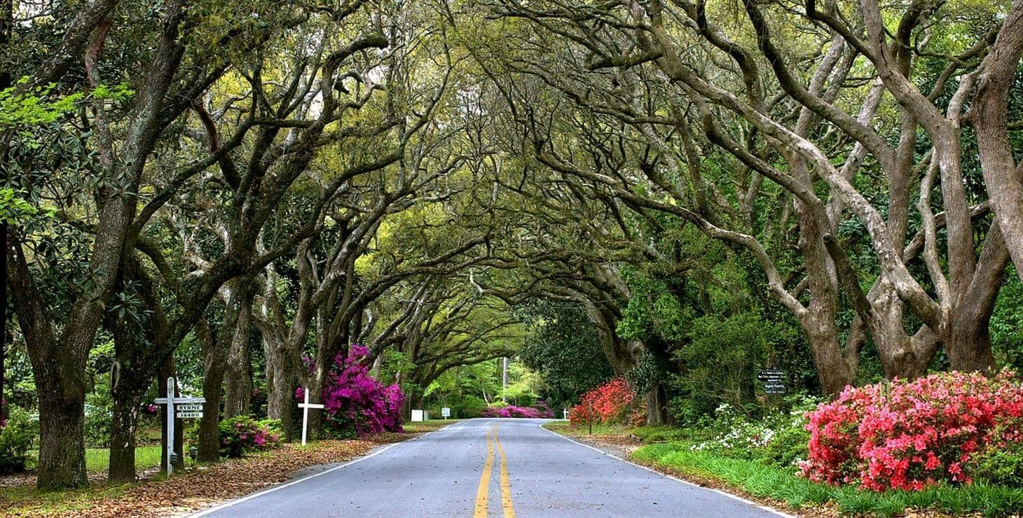 Magnolia Springs Getting National Recognition