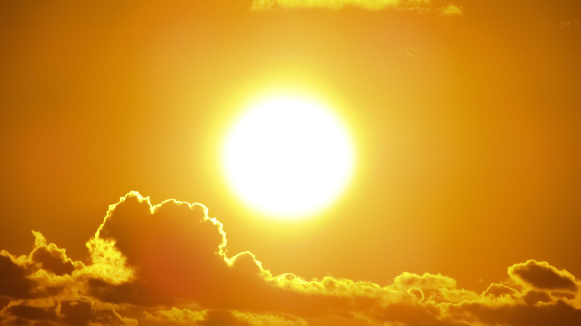 Heat Advisories