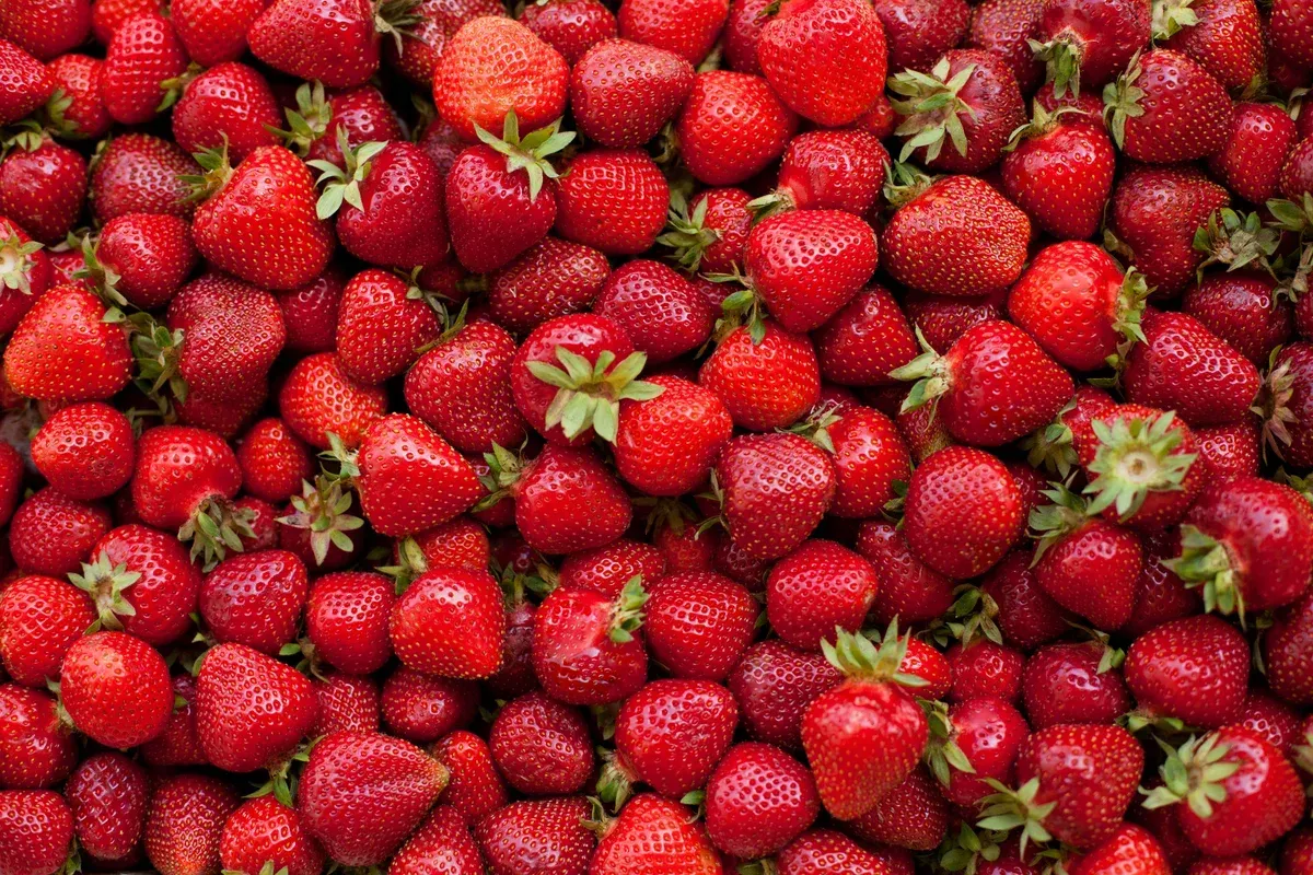 Baldwin County Strawberry Festival