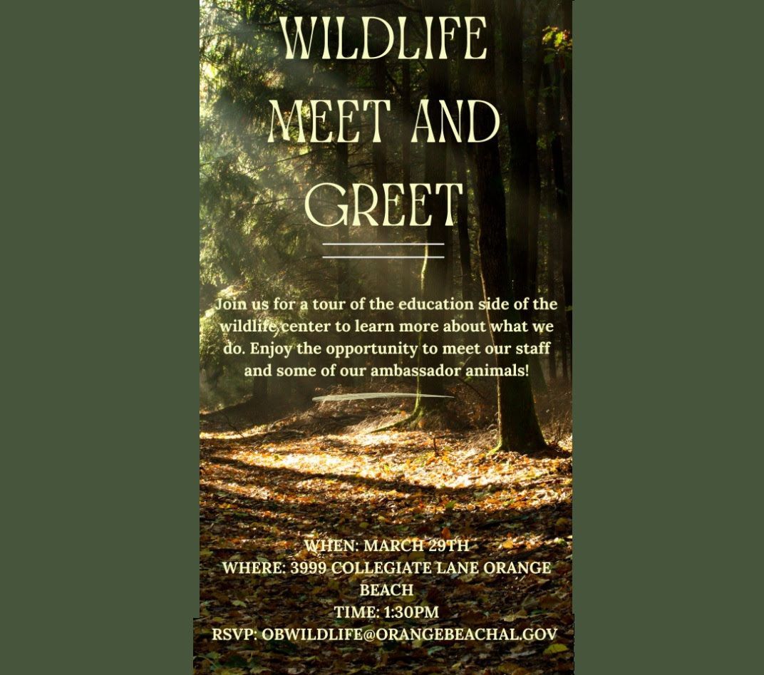 Orange Beach Wildlife Meet and Greet