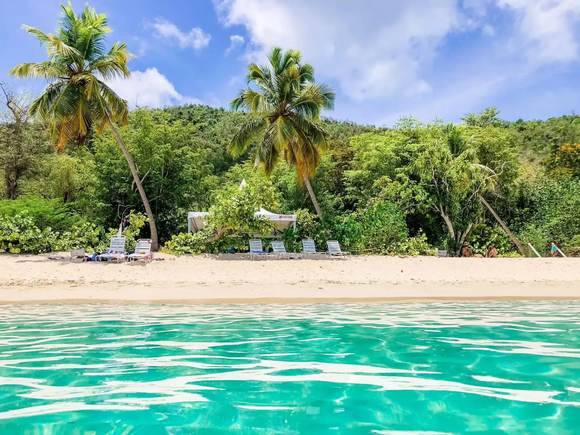 A tropical beach with palm trees and chairs in the water