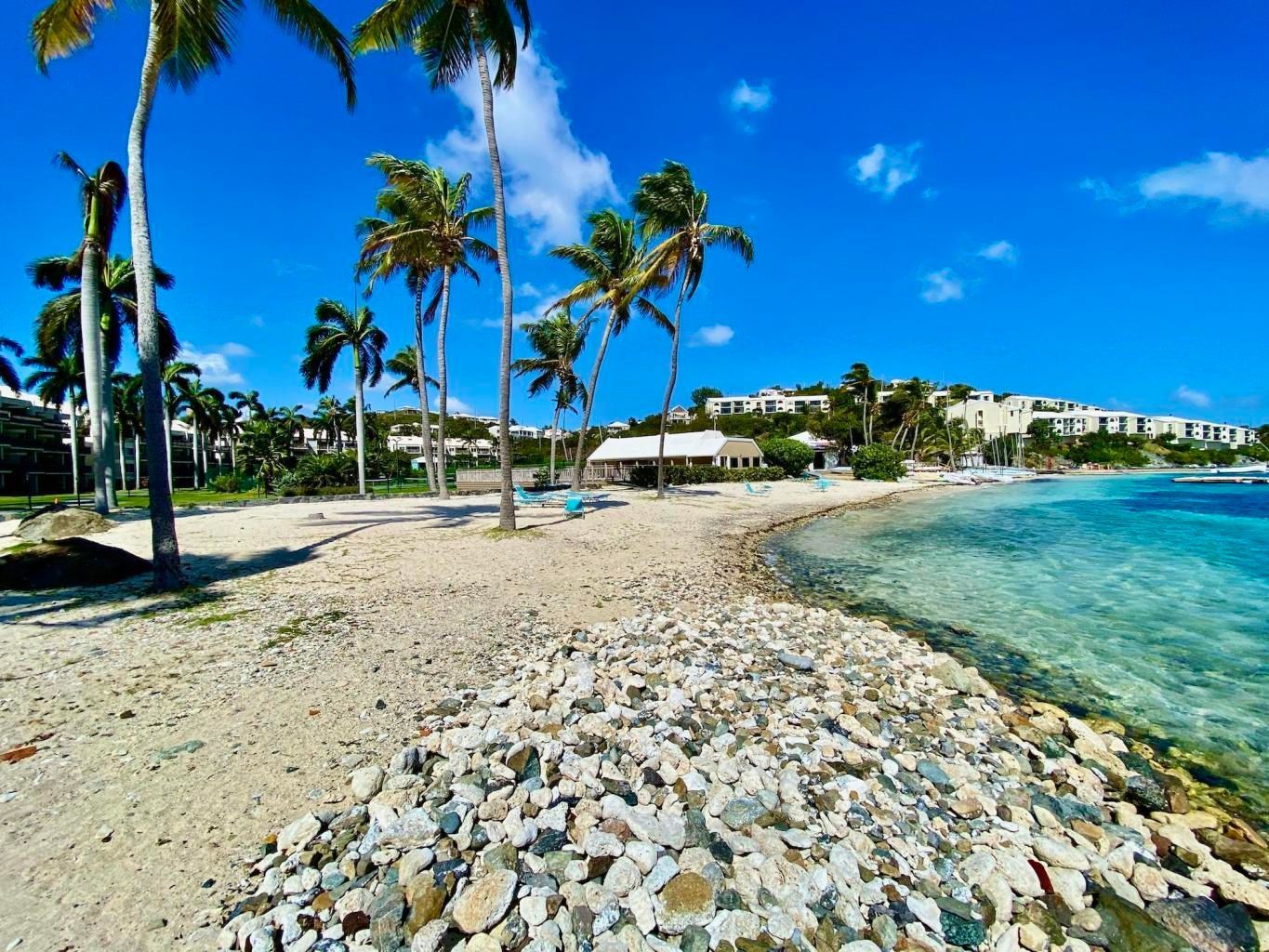 A tropical beach with palm trees and rocks on the shore