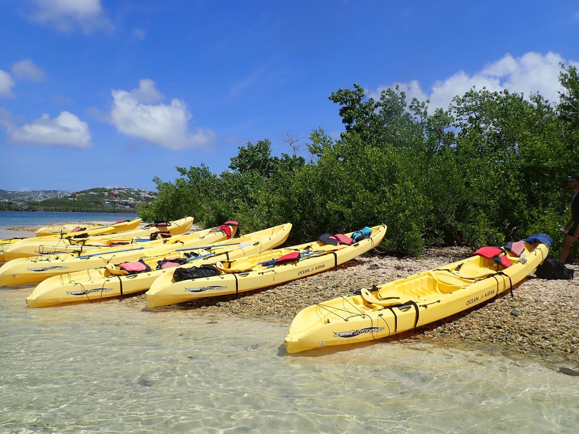 A row of yellow kayaks are lined up on the shore of a lake.