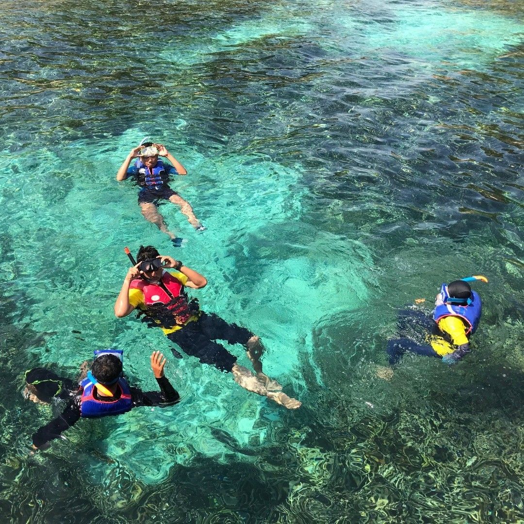 A group of people are swimming in the ocean.