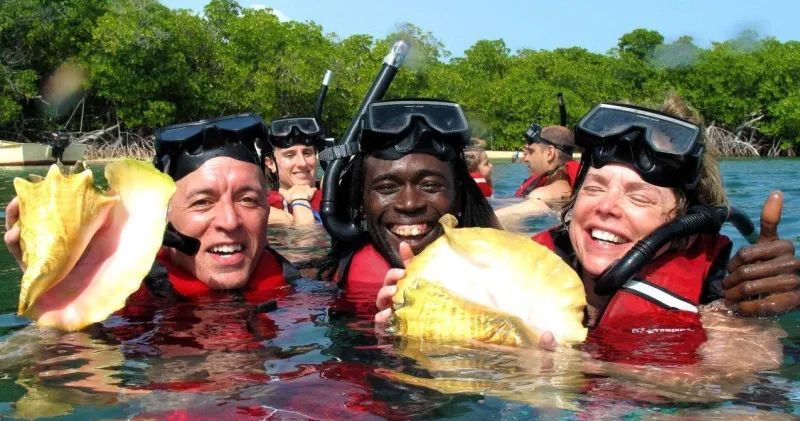 A group of people are swimming in the water holding shells and giving a thumbs up.