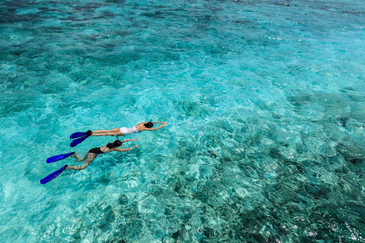 take a guided snorkel tour in the USVI