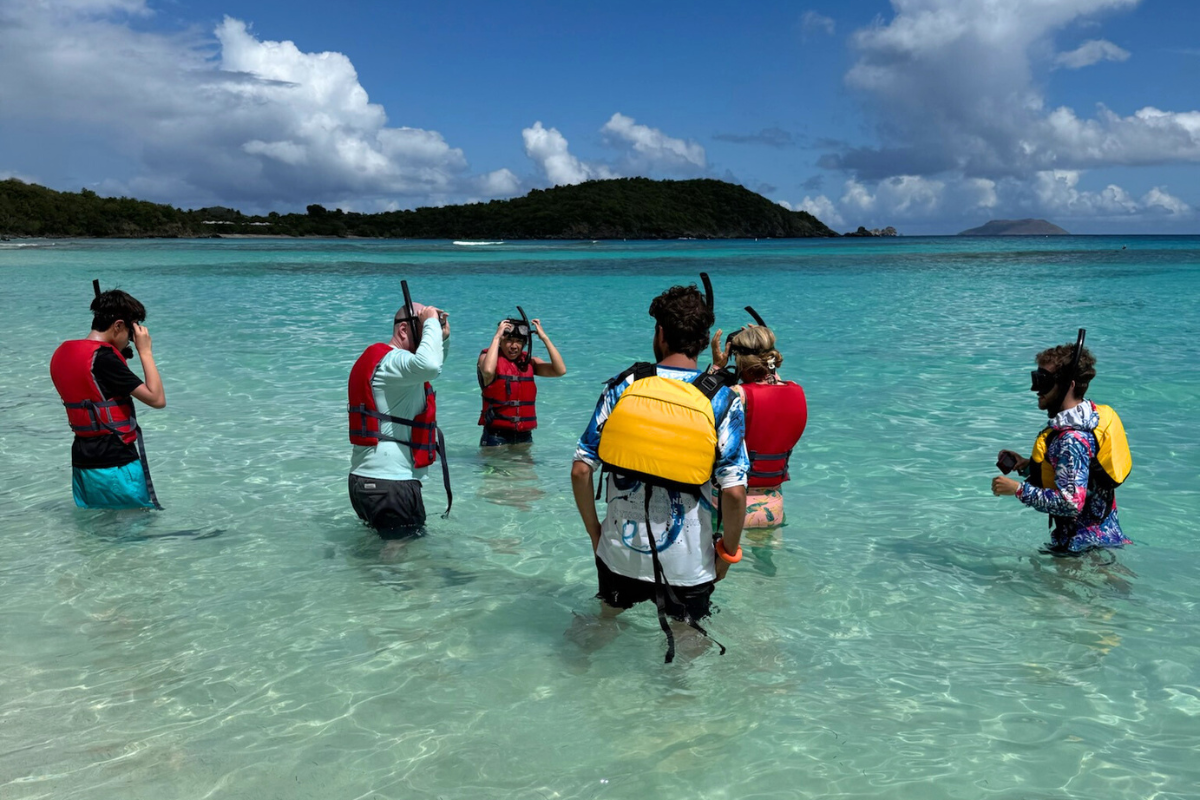sustainable ecotourism in the US Virgin Islands 