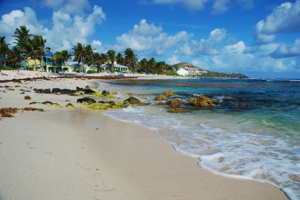 A white sandy beach with palm trees in the background