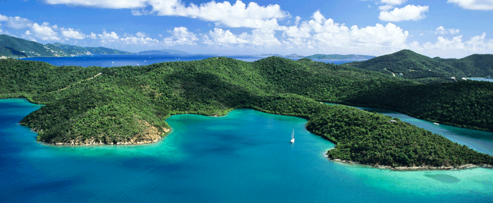 A tropical beach with palm trees and mountains in the background