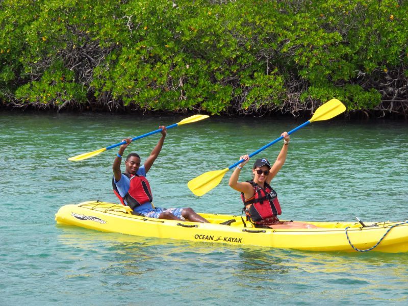 kayak strokes US Virgin Islands VI Ecotours