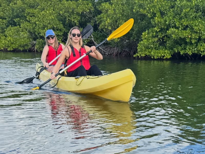 Two people kayaking in a yellow kayak on water, near green mangrove trees. Both wearing life vests and using paddles.
