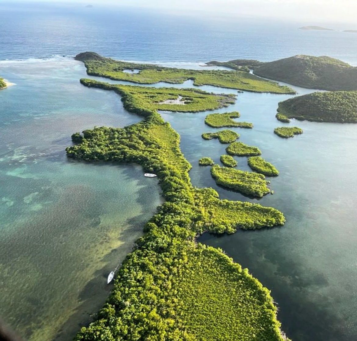 An aerial view of a body of water surrounded by trees