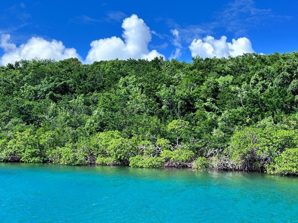 hiking tours St. John US Virgin Islands