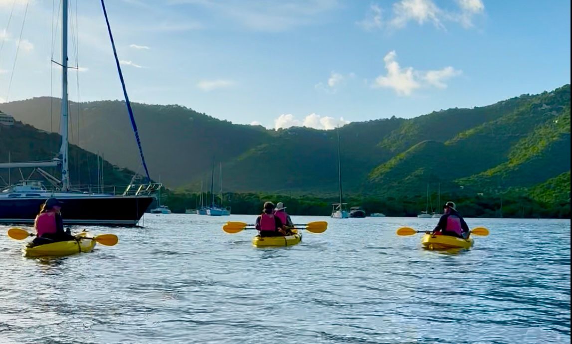 new nature tours on St. John USVI Coral Bay