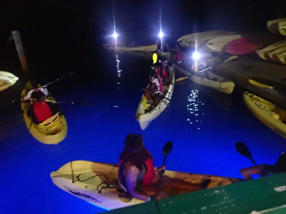 A group of people are in kayaks in the water at night