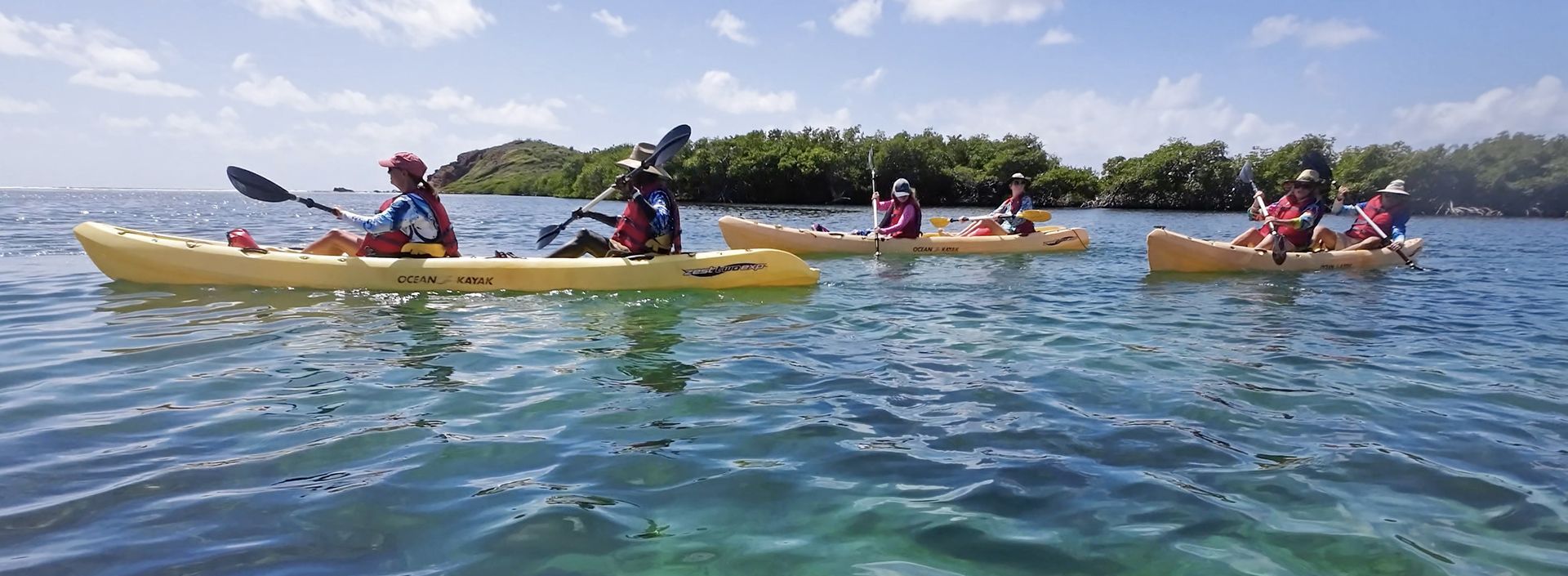 A group of people are paddling kayaks on a lake.