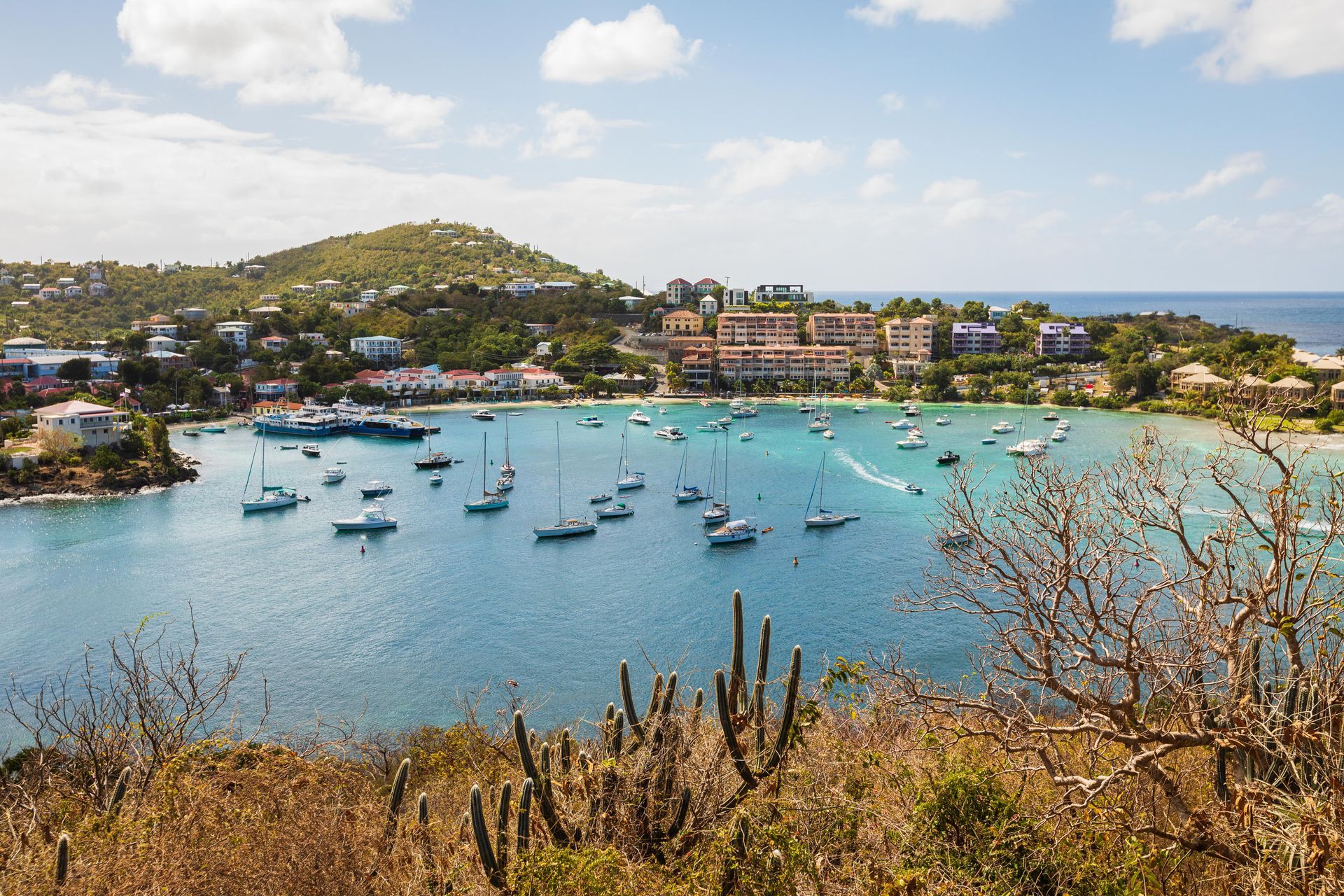 A large body of water with boats in it and a city in the background