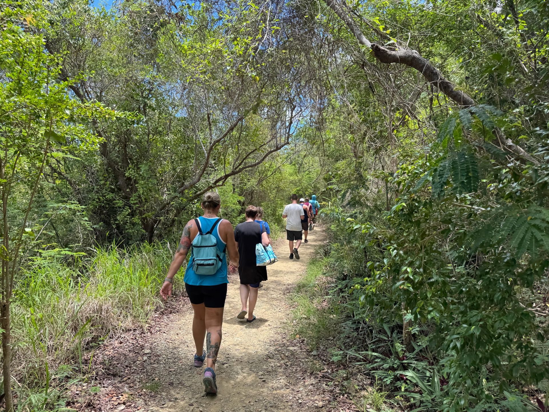 A group of people are walking down a path in the woods.