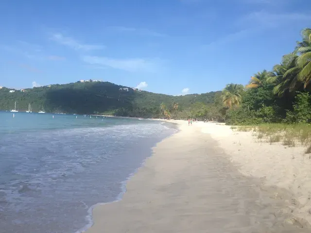 A beach with a lot of trees and mountains in the background