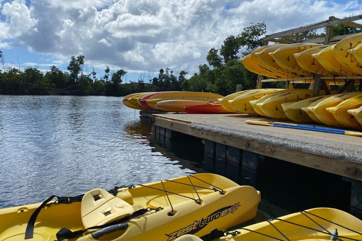 A bunch of yellow kayaks are sitting on a dock