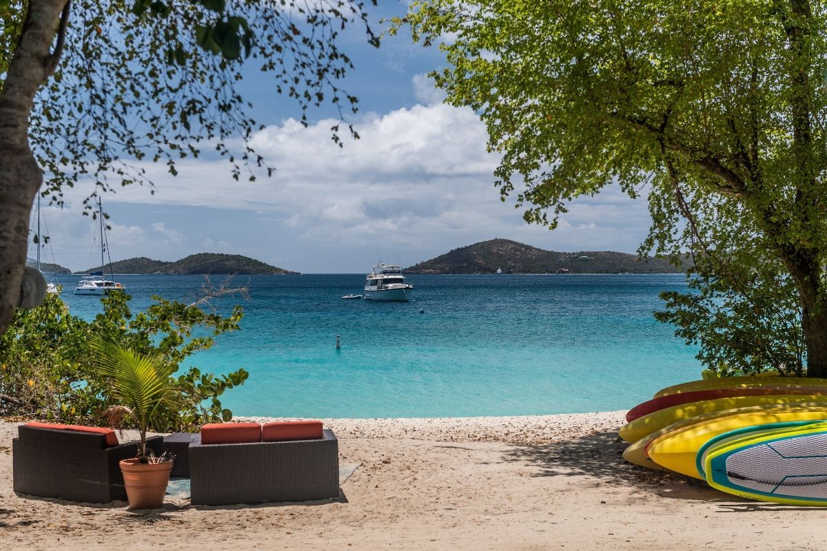 A row of kayaks are sitting on a beach next to a tree.