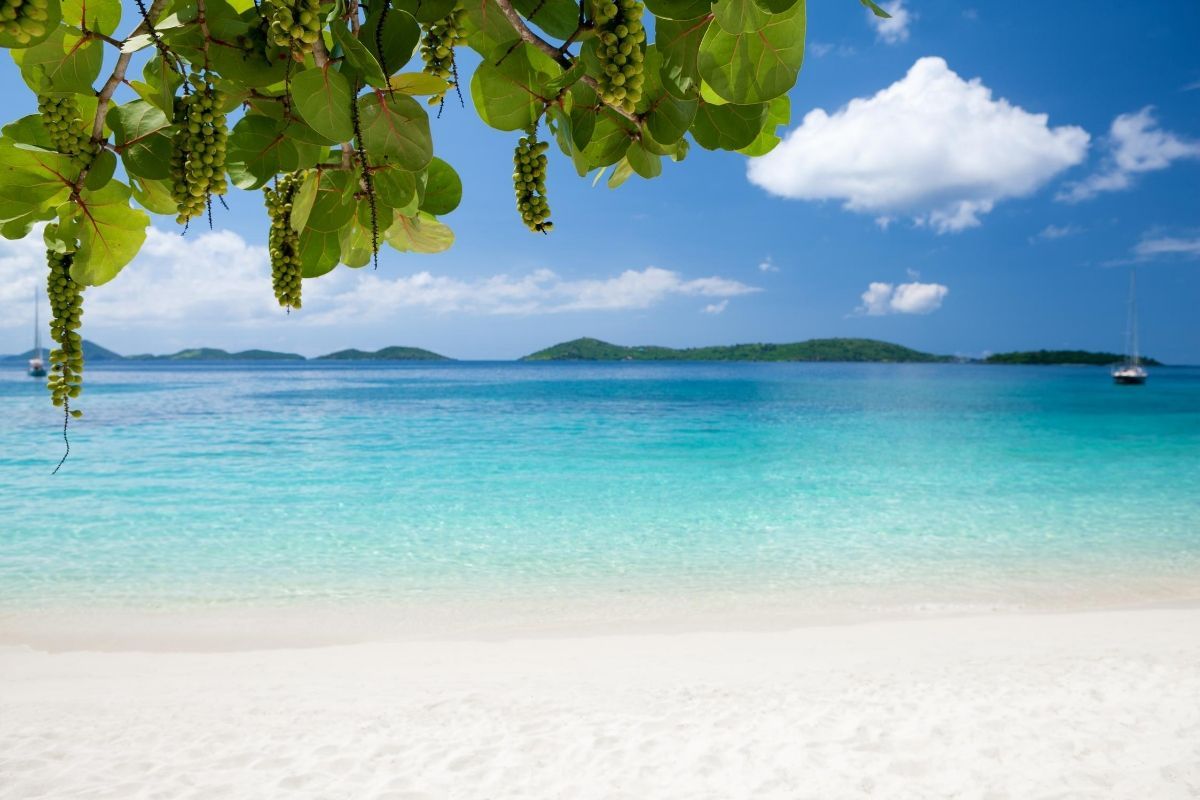 A tropical beach with a boat in the distance