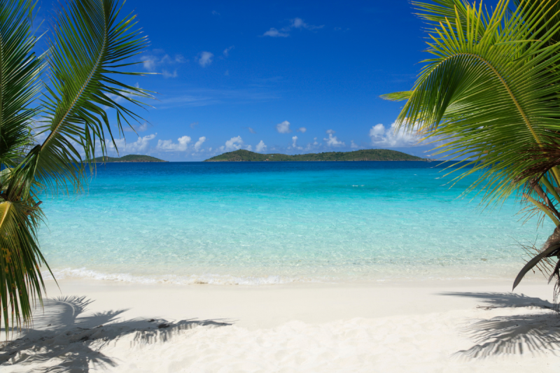 A tropical beach with palm trees and a blue ocean in the background.