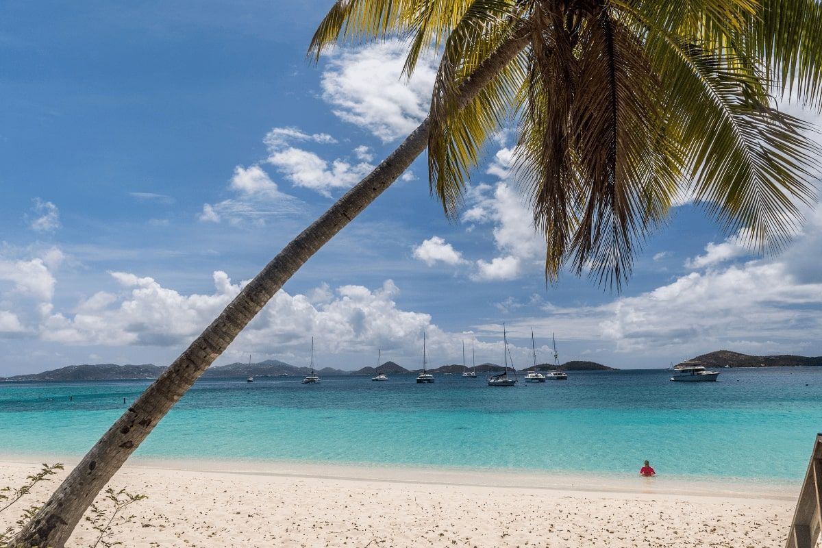 A tropical beach with palm trees and boats in the water