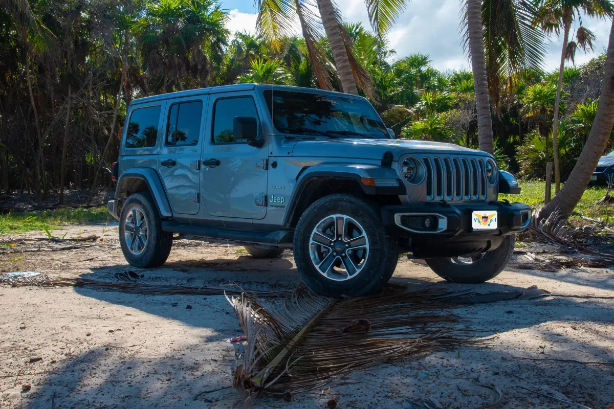 A jeep is parked on a dirt road next to palm trees.