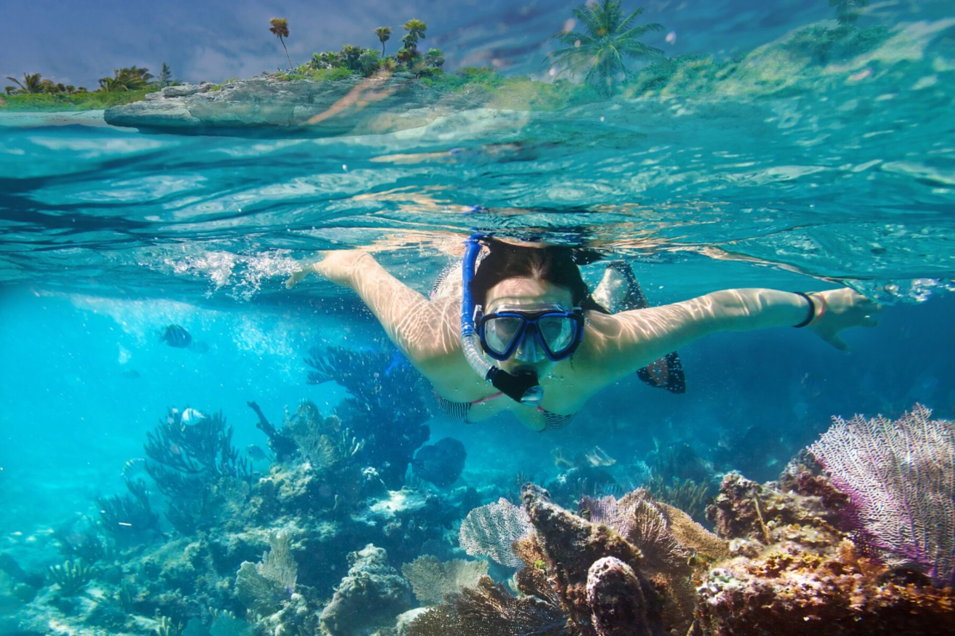 A woman is swimming in the ocean over a coral reef.