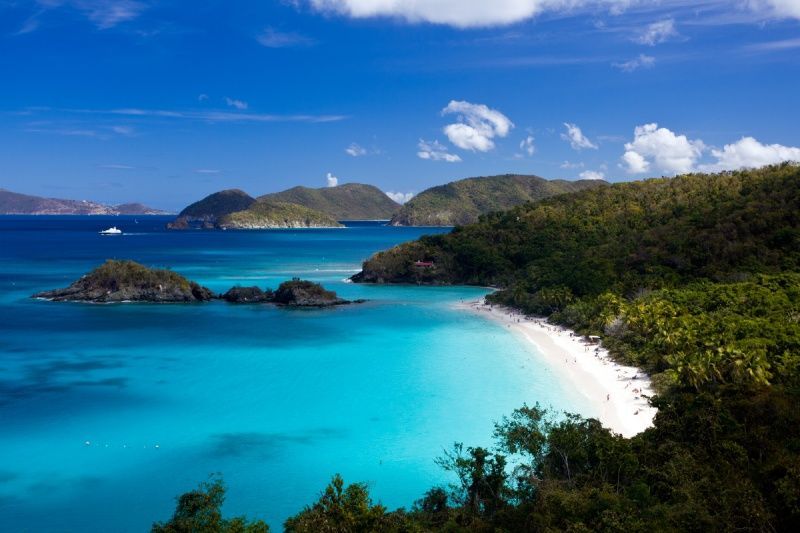 There is a white sandy beach in the middle of the ocean surrounded by trees.